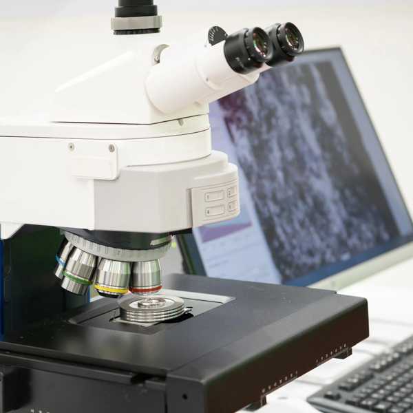 Metal Testing and Durability: An In-Depth Guide to Metallurgical Evaluation Systems
