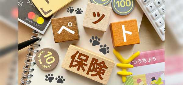 ペットと安心して暮らすために ——「ペット保険」がもたらす安心と選び方のポイント